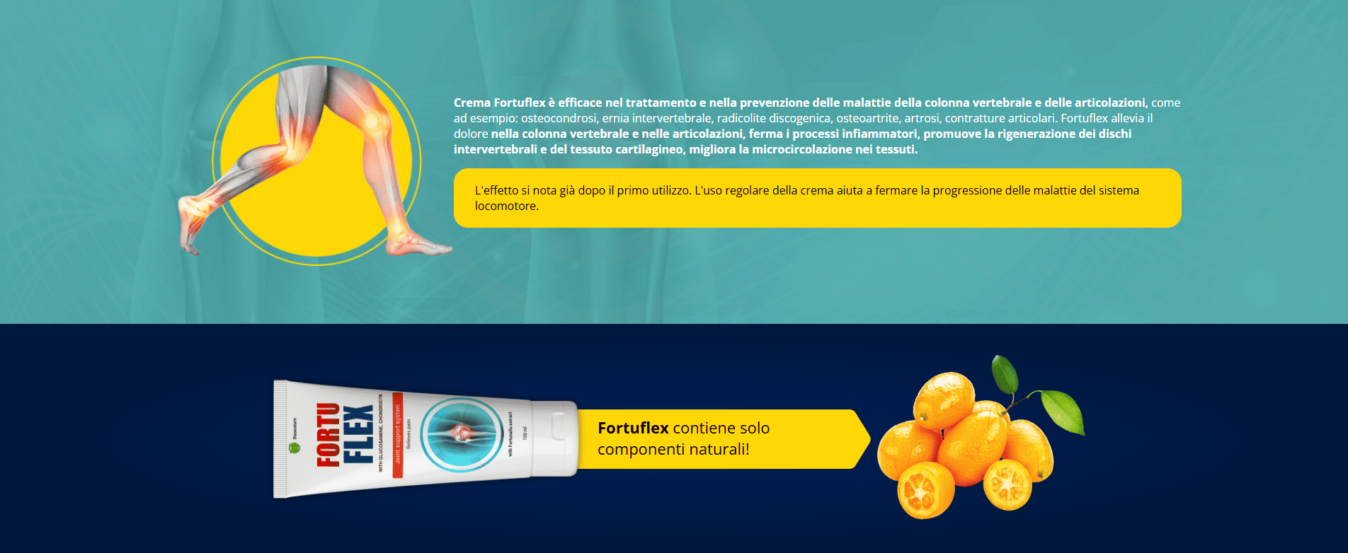 fortuflex_02