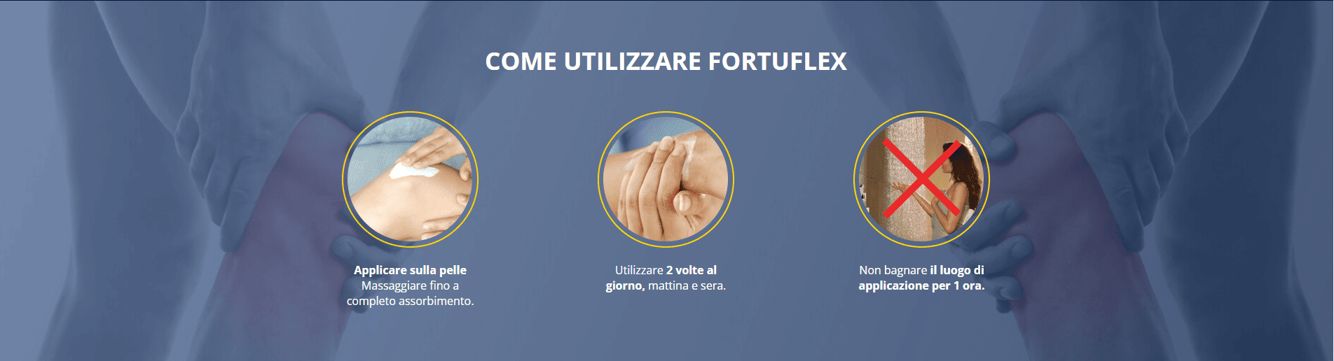 fortuflex_07