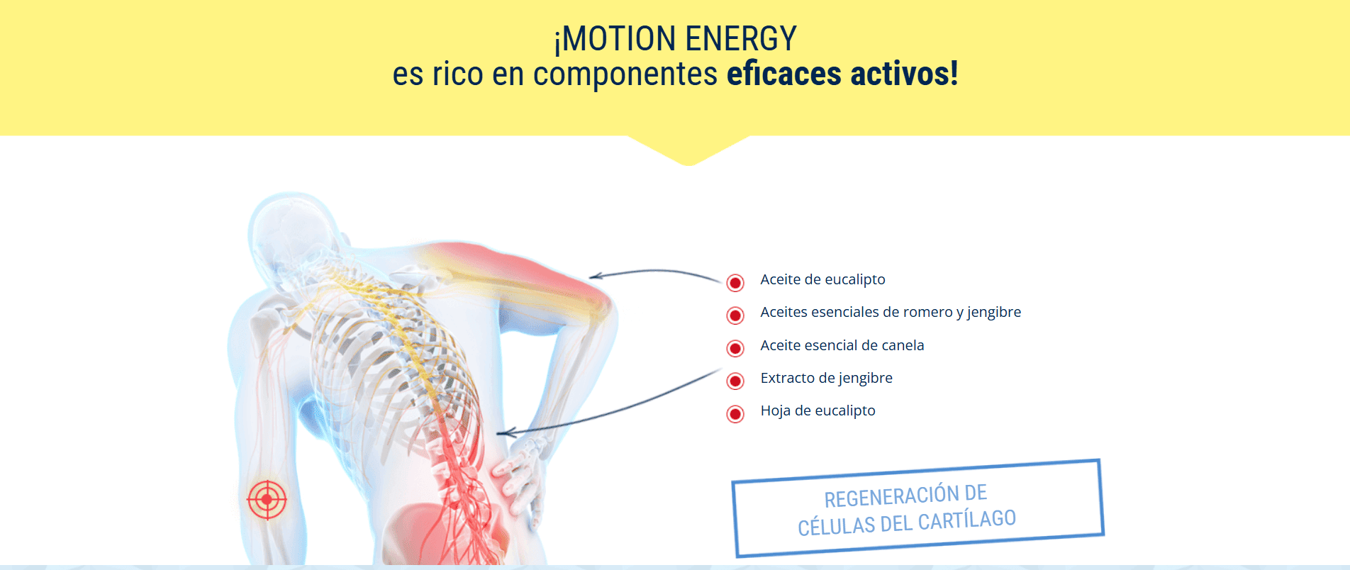 motion_energy_dk_03