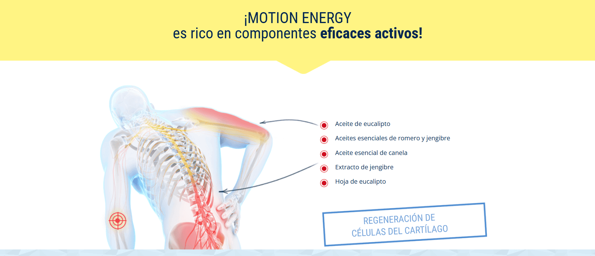motion_energy_dk_03_mx