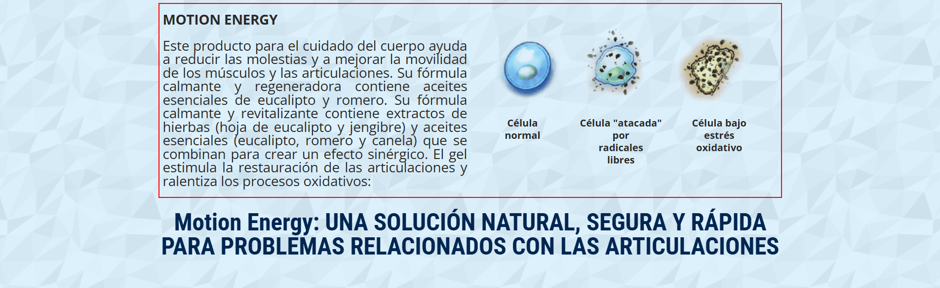 motion_energy_dk_04_mx